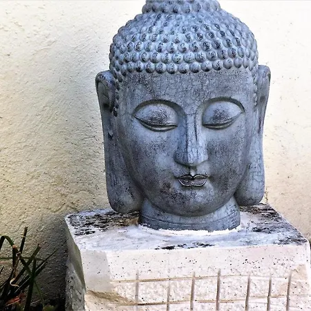 卡宴别墅 - 奥利维亚住宿加早餐旅馆 别墅 *