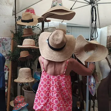 Les De Cayenne - Olivia Villa