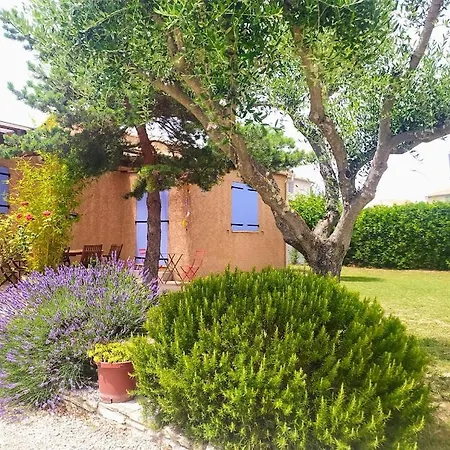 Les De Cayenne - Olivia * Uzes